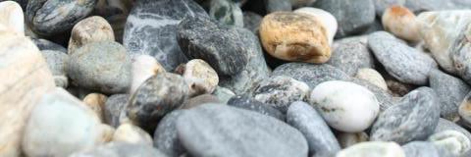 Vinegar Tiger OnlyFans header