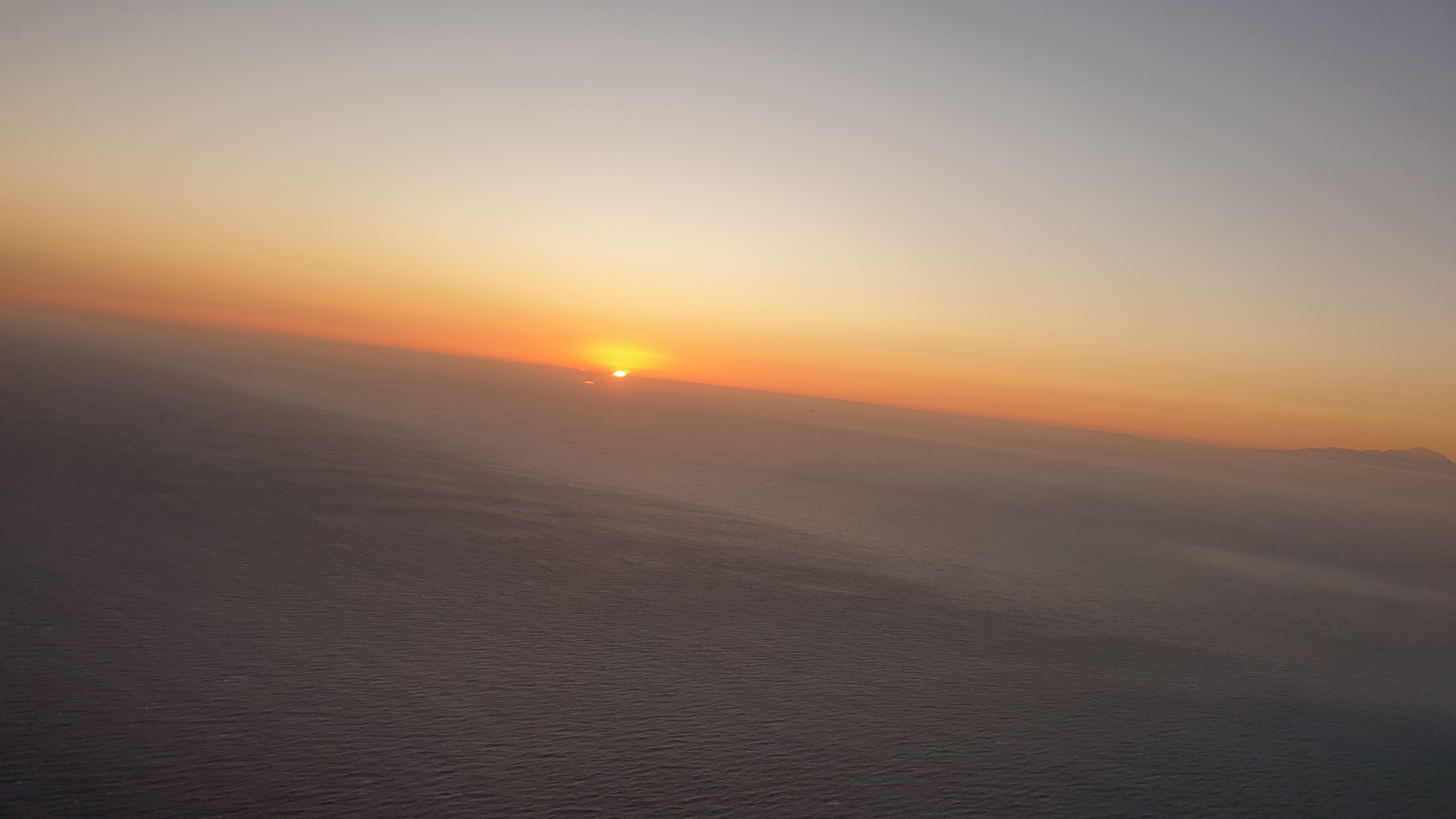 Vinester OnlyFans header