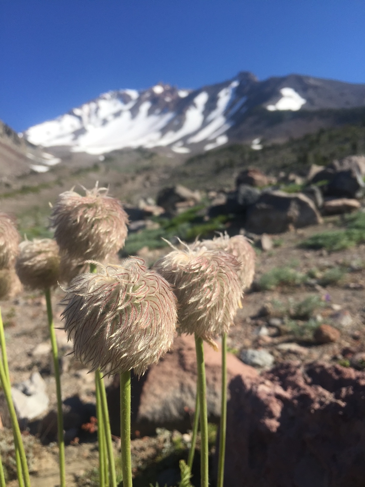 Vince OnlyFans header