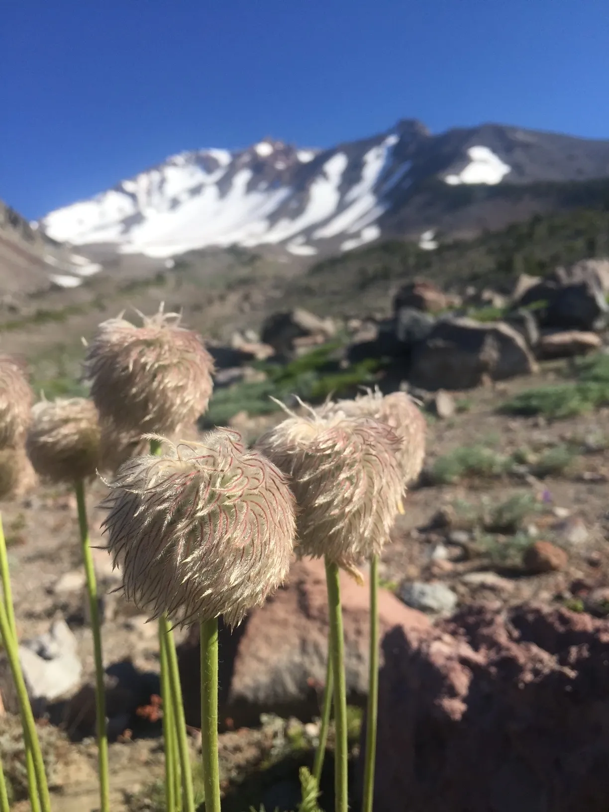 Vince OnlyFans header