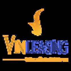 VIN Leasing