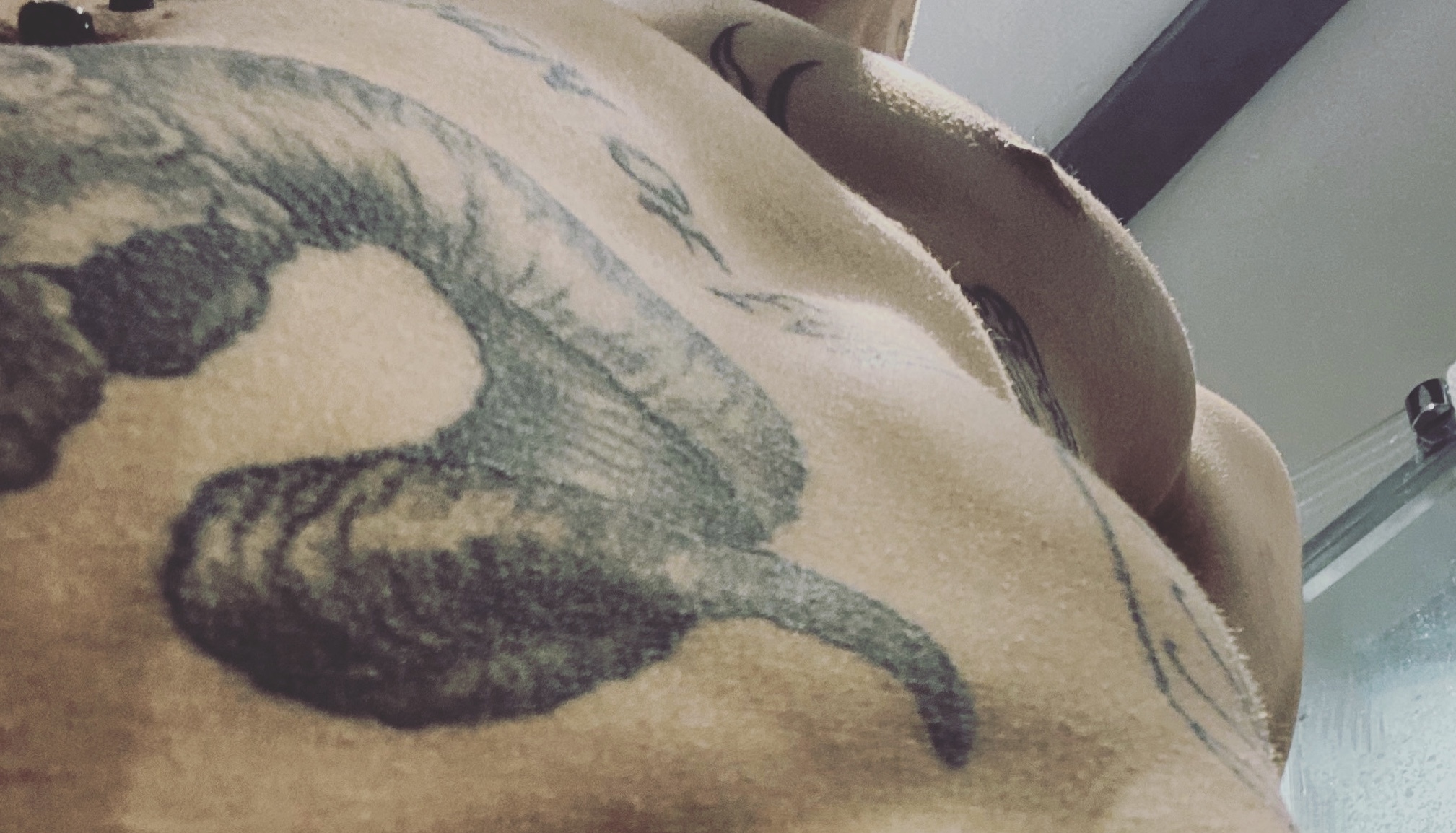 VinnieMarino OnlyFans header