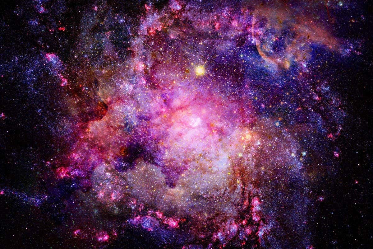 Vinyl Vixen OnlyFans header