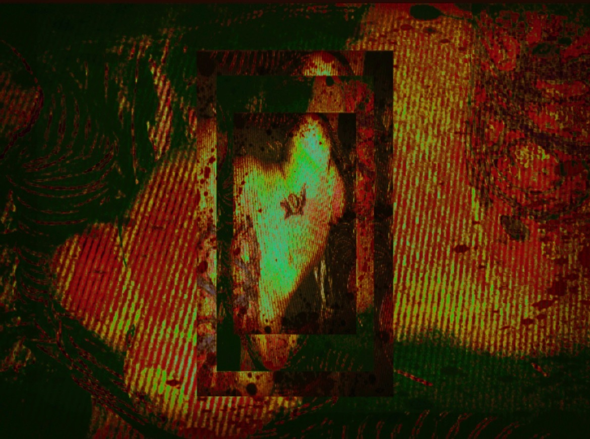 🕸 𝖛𝖎𝖔 OnlyFans header