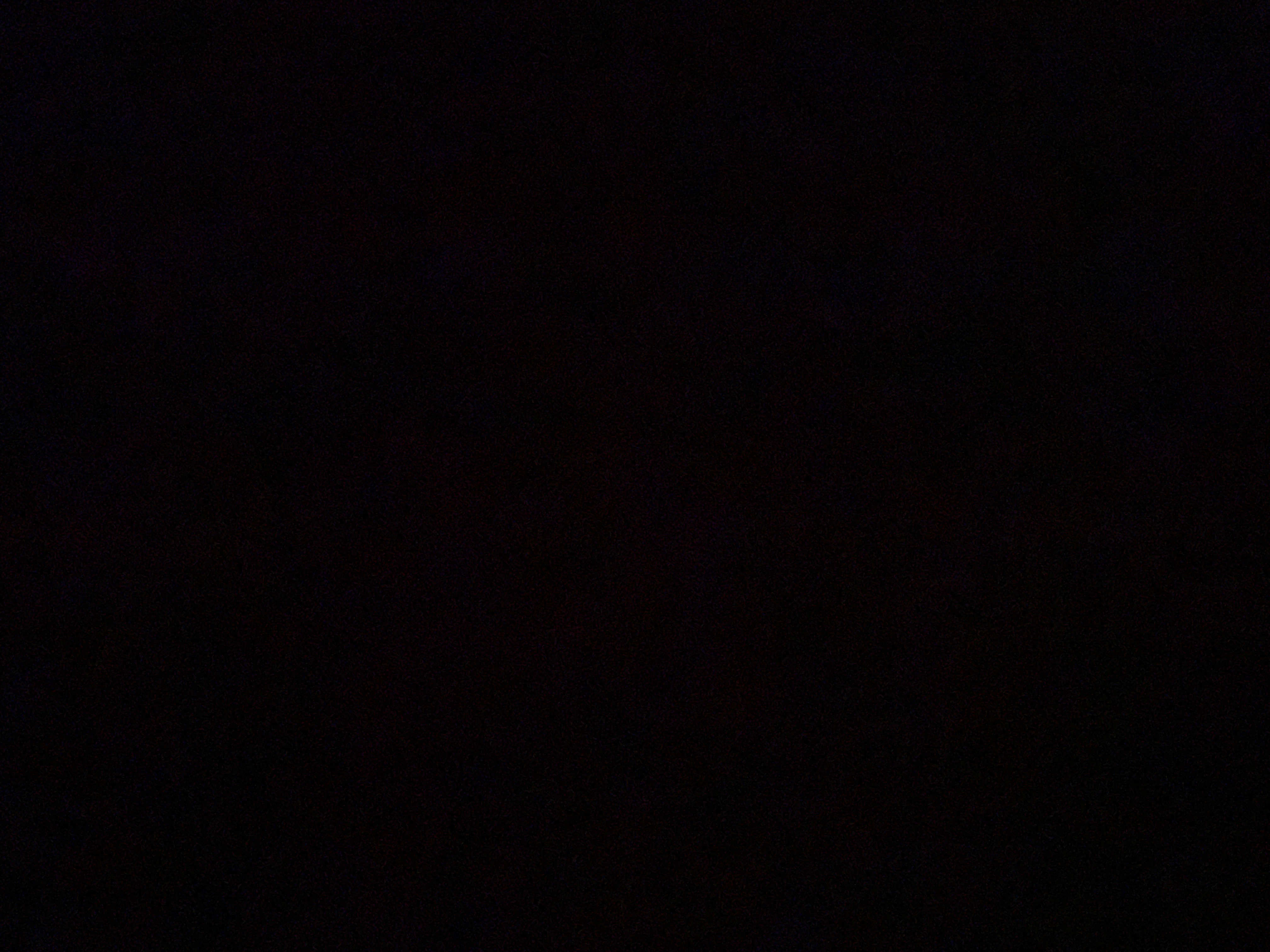 Viola OnlyFans header