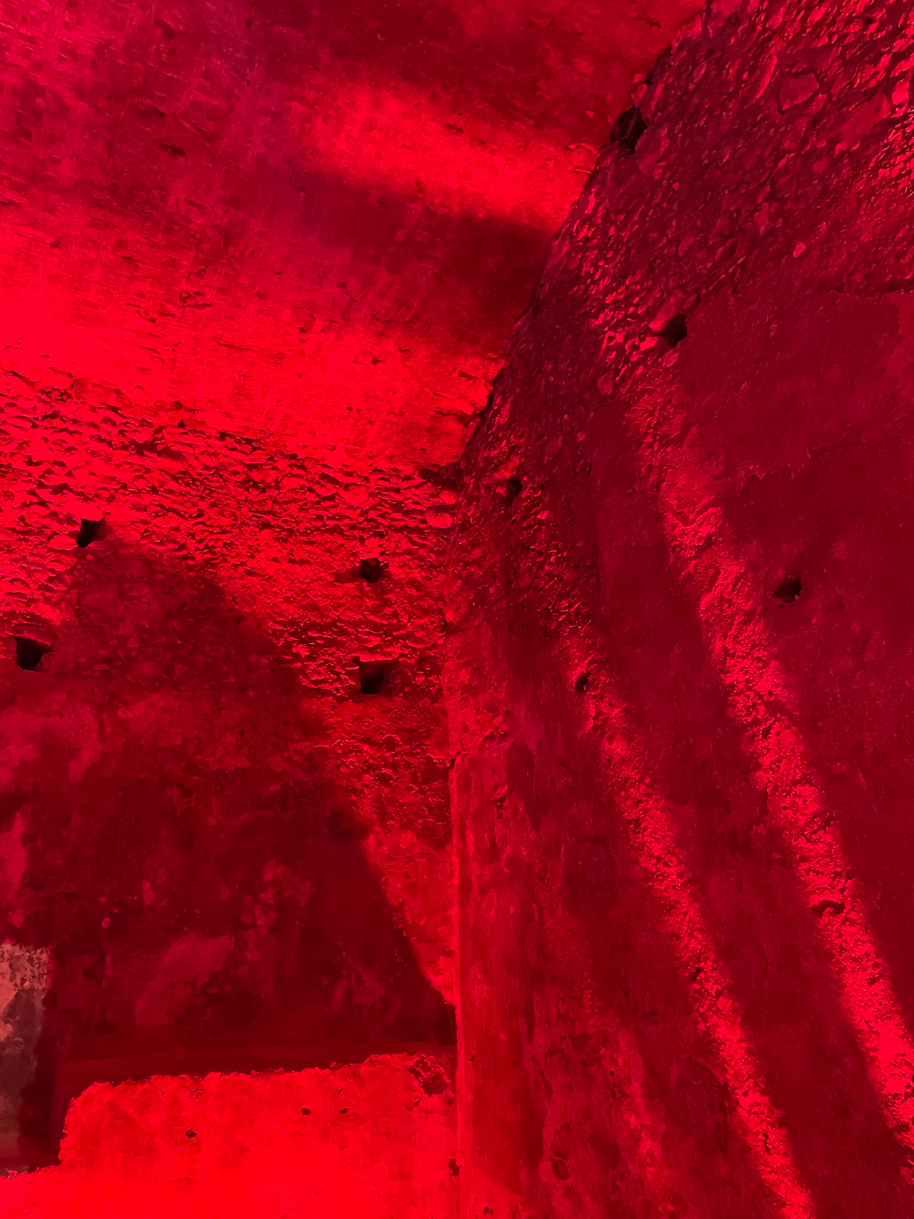 Viola Bunny OnlyFans header