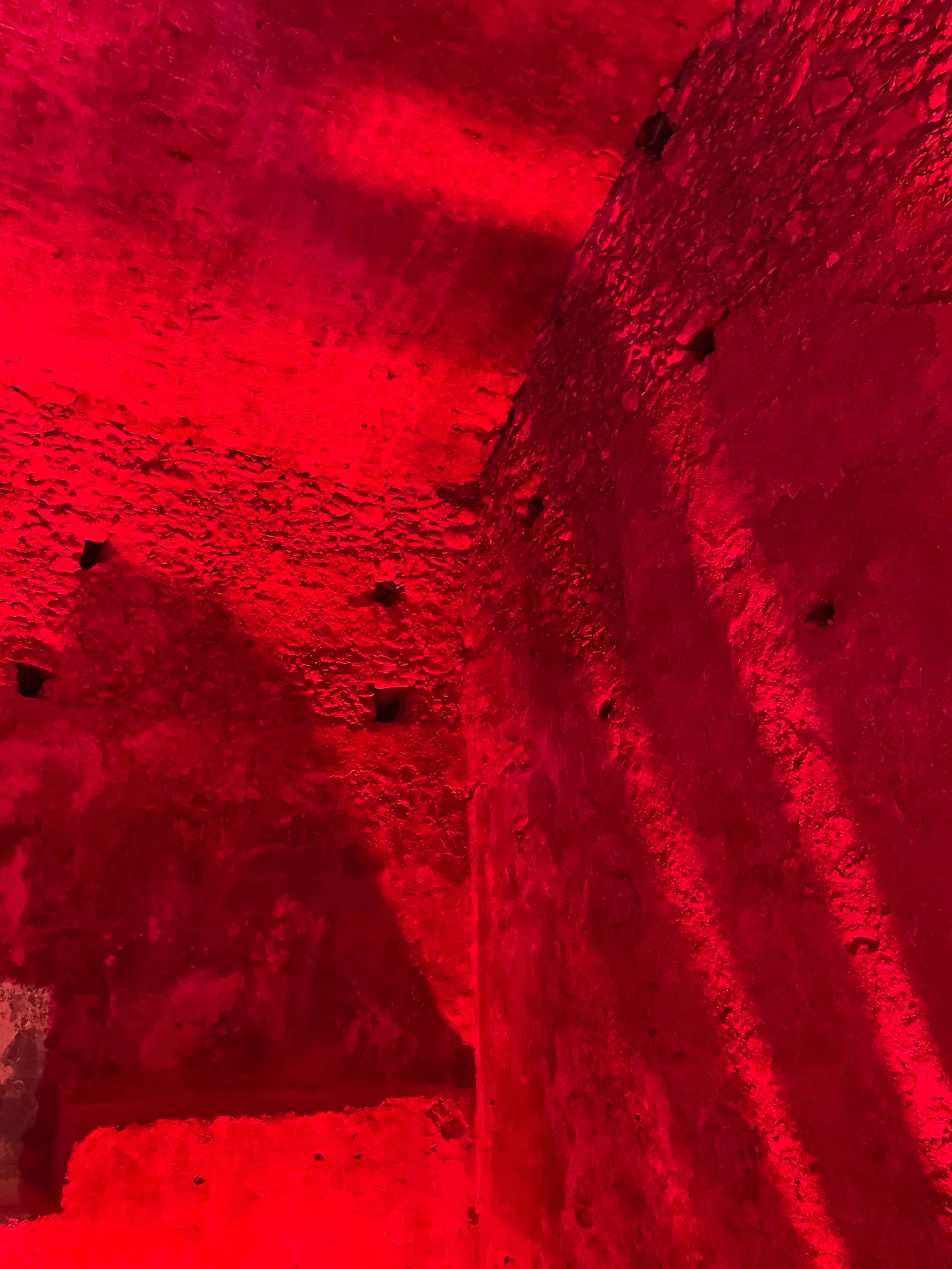 Viola Bunny OnlyFans header