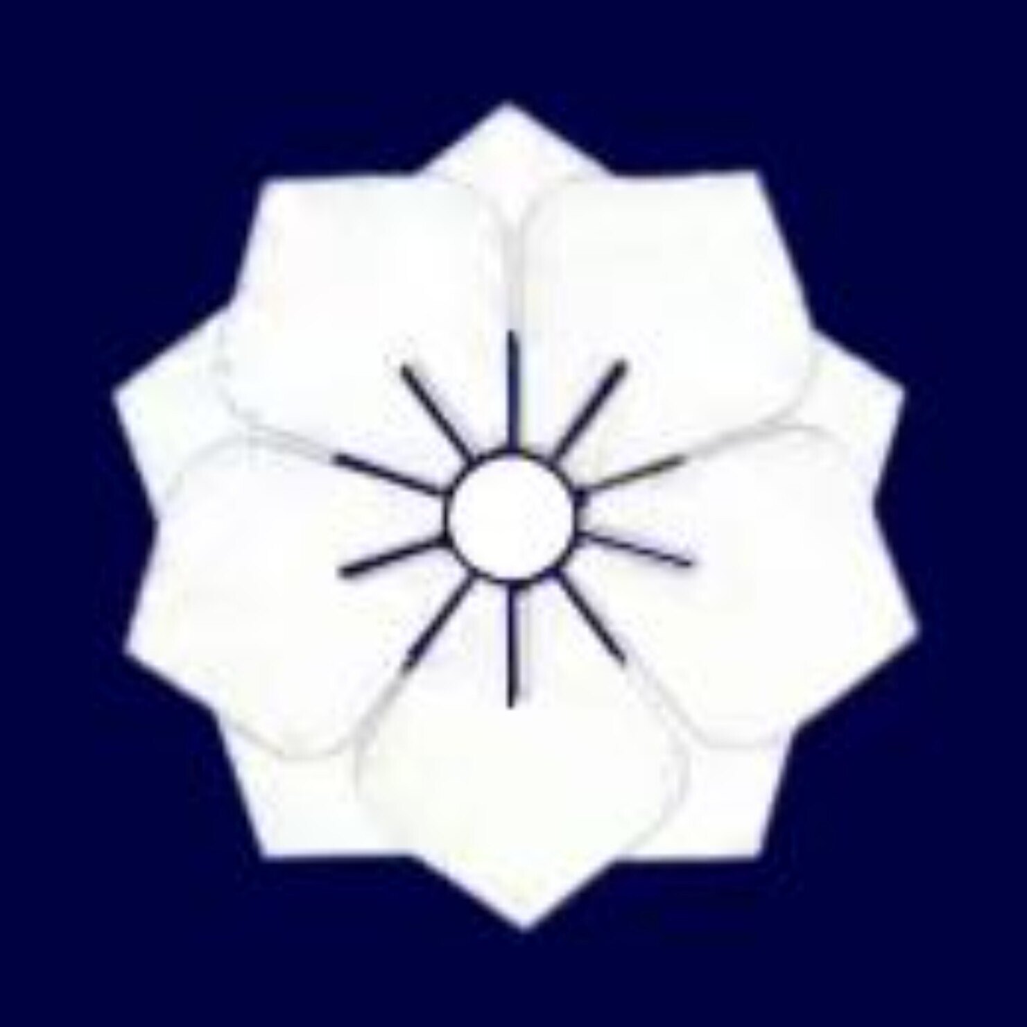 Violeta Hola OnlyFans