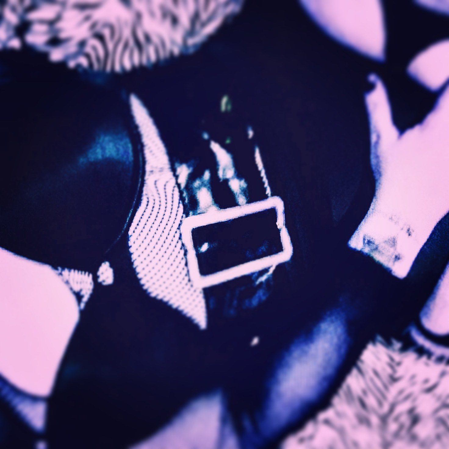 Violet OnlyFans header