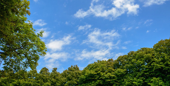 Violet Lily OnlyFans header