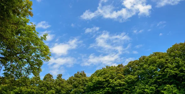 Violet Lily OnlyFans header