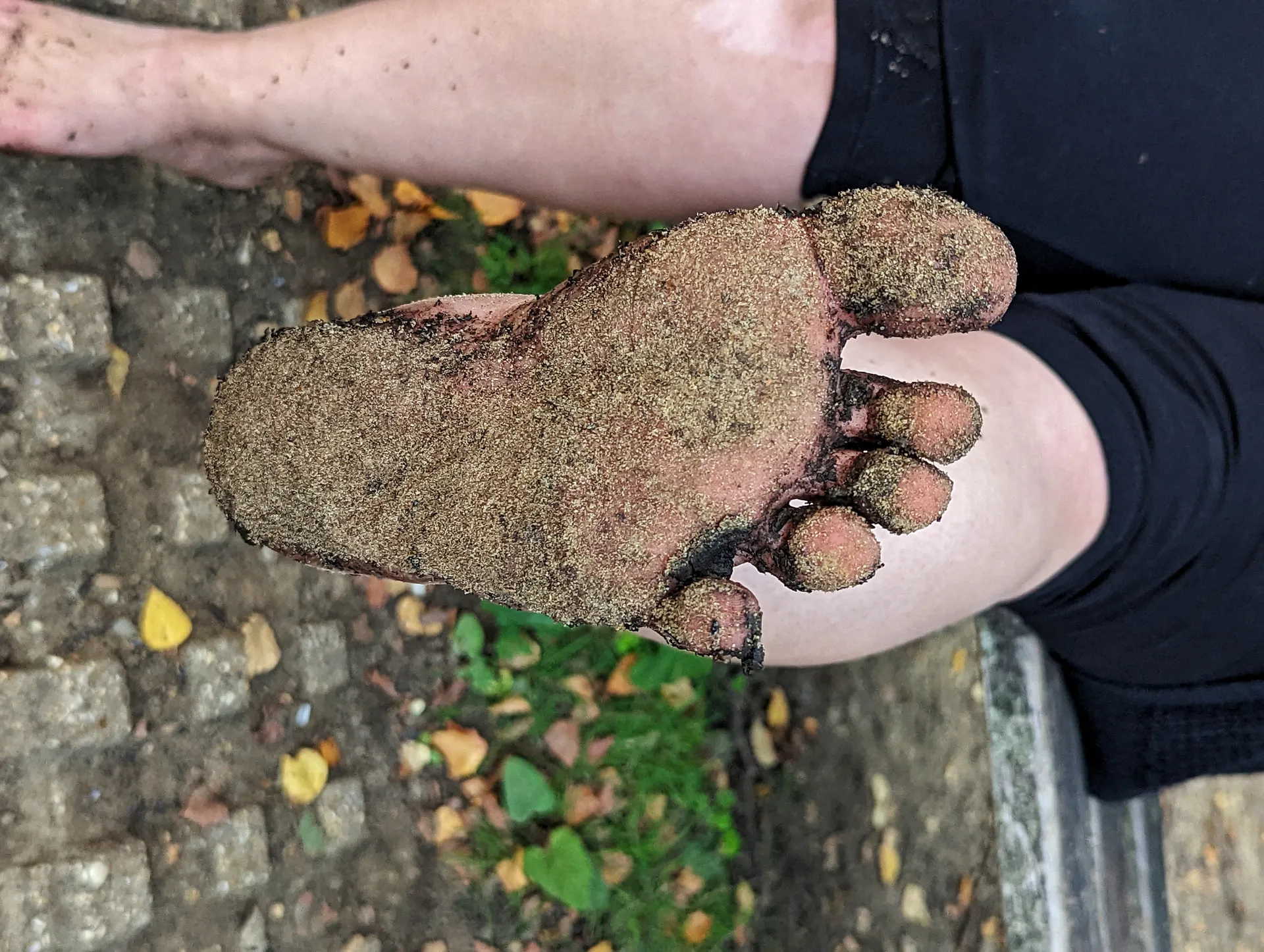 Violet Littlefoot OnlyFans header