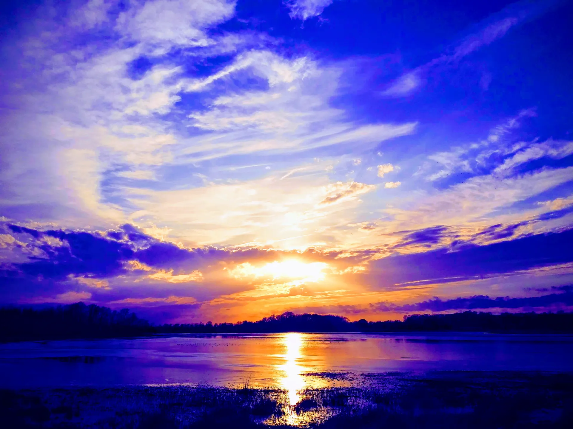 Violet333 OnlyFans header