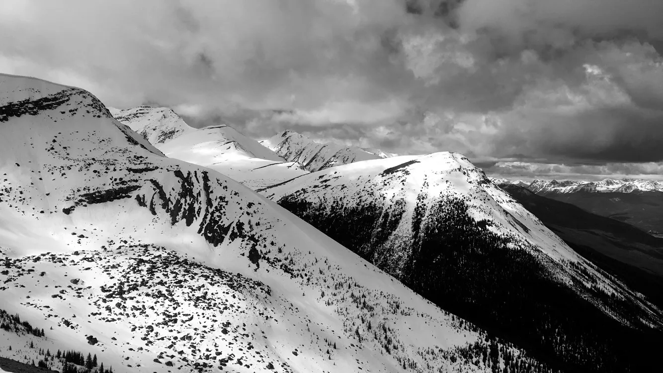 Violet OnlyFans header