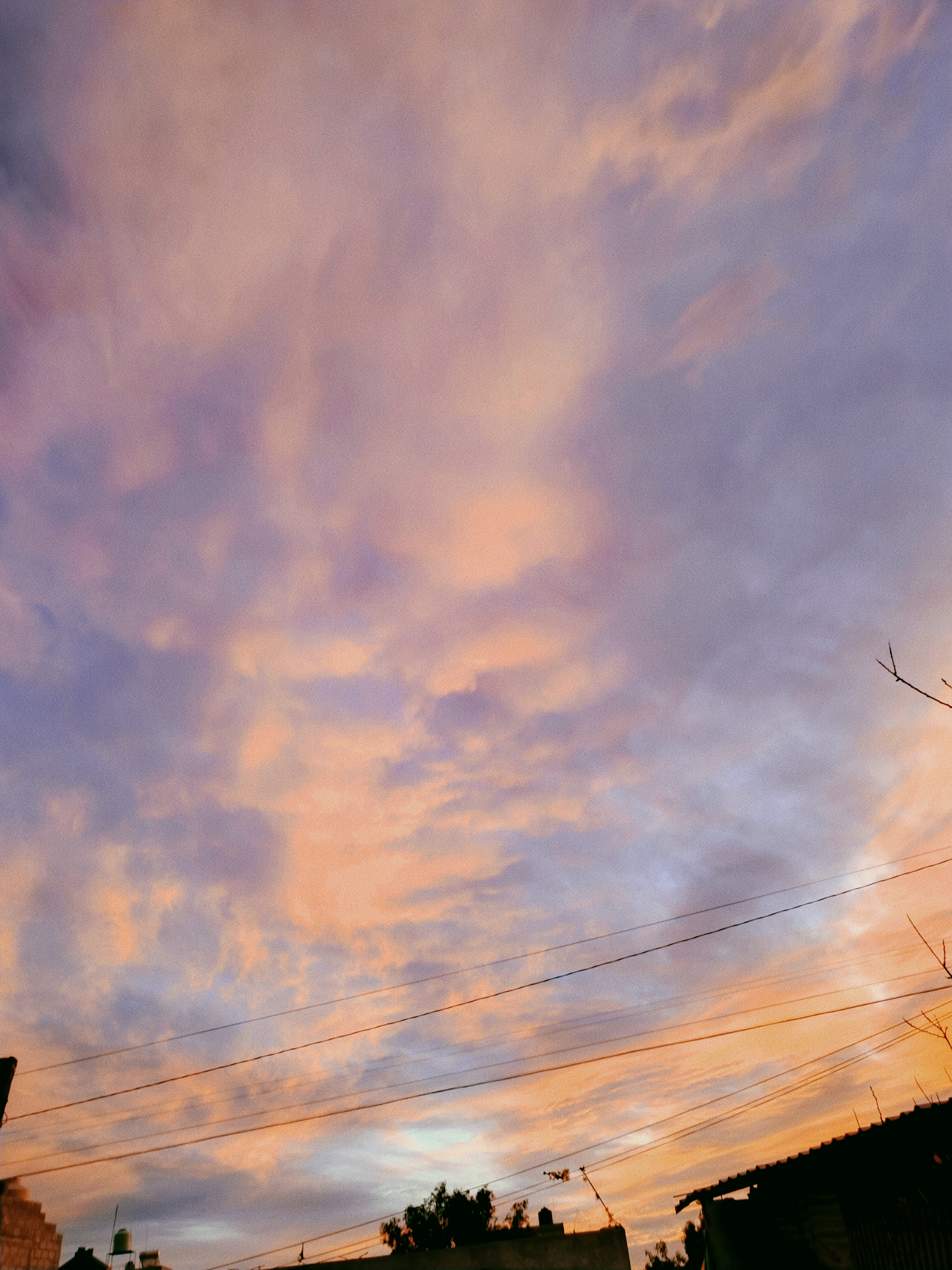 Violet OnlyFans header