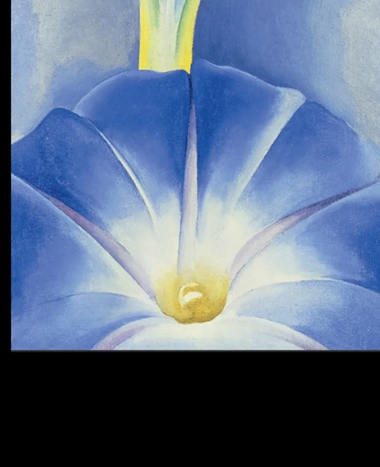 Violet OnlyFans header