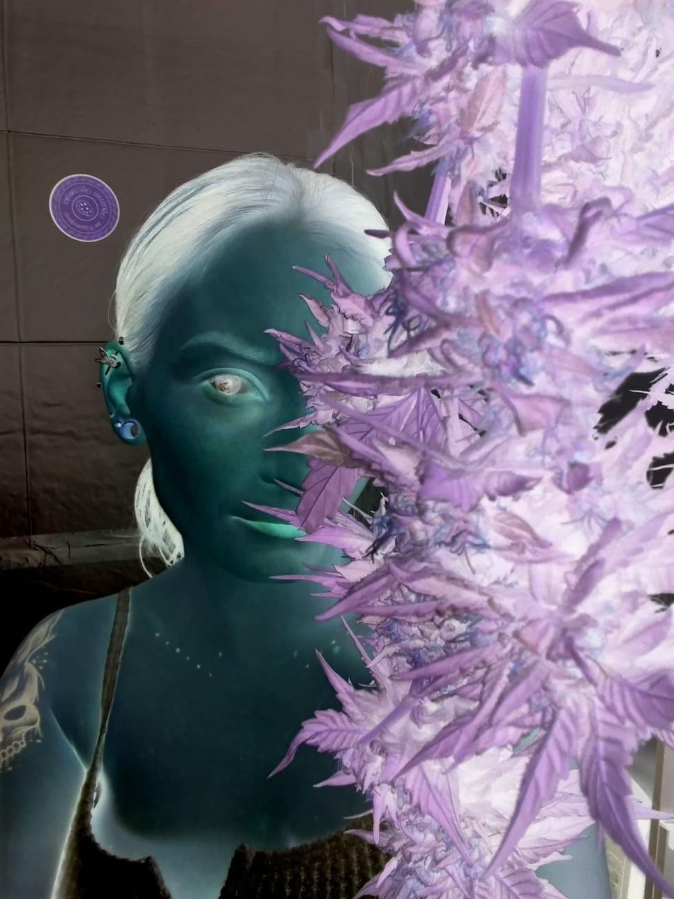 Violet Storm OnlyFans header