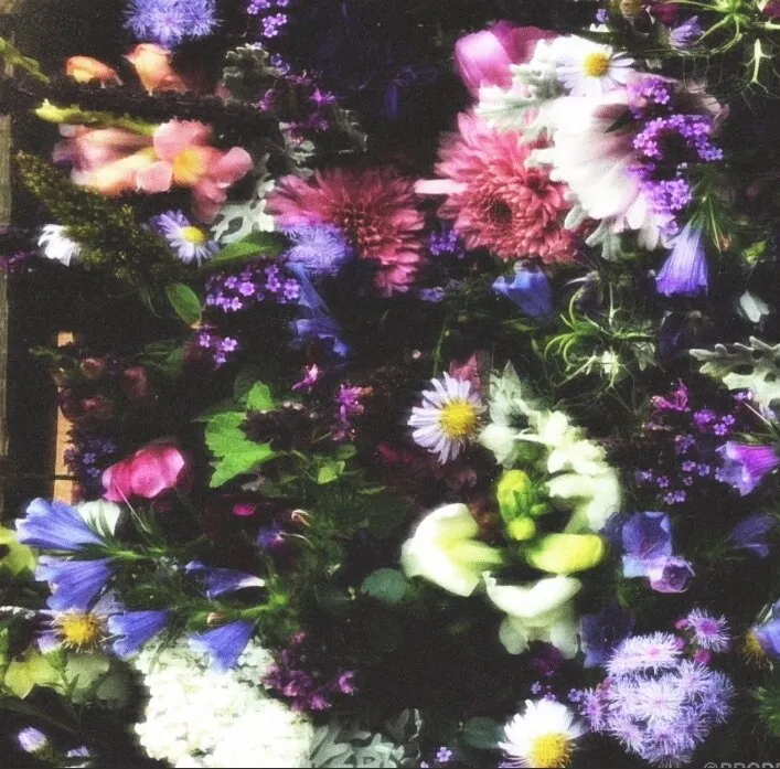 Violet Black 🖤 OnlyFans header