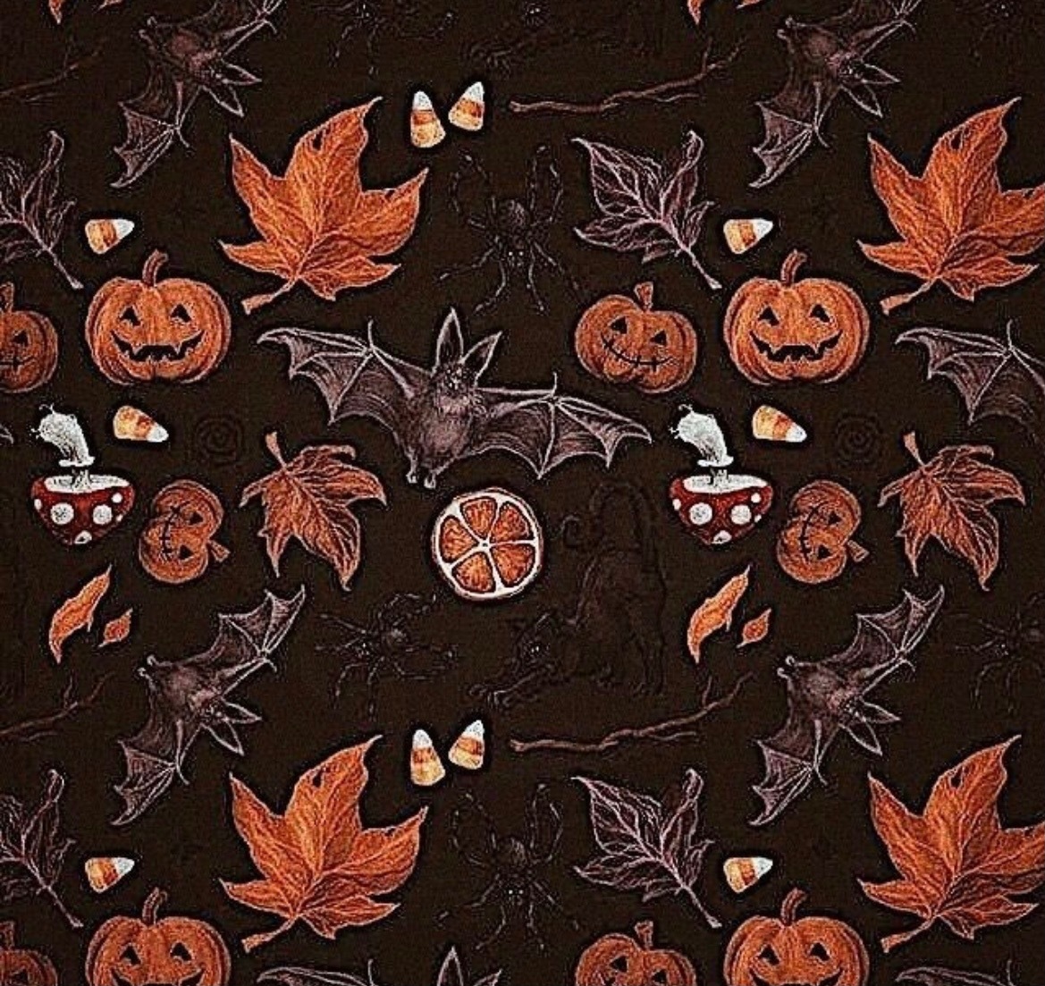 vi♑️ OnlyFans header