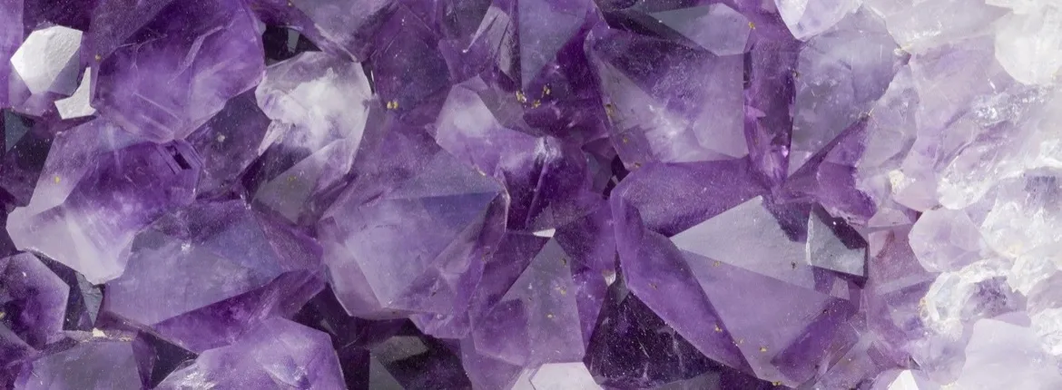 Violet Lin OnlyFans header