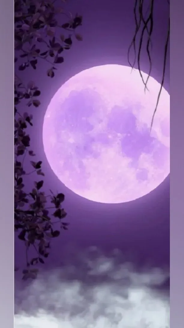 VioletMoonXO OnlyFans header