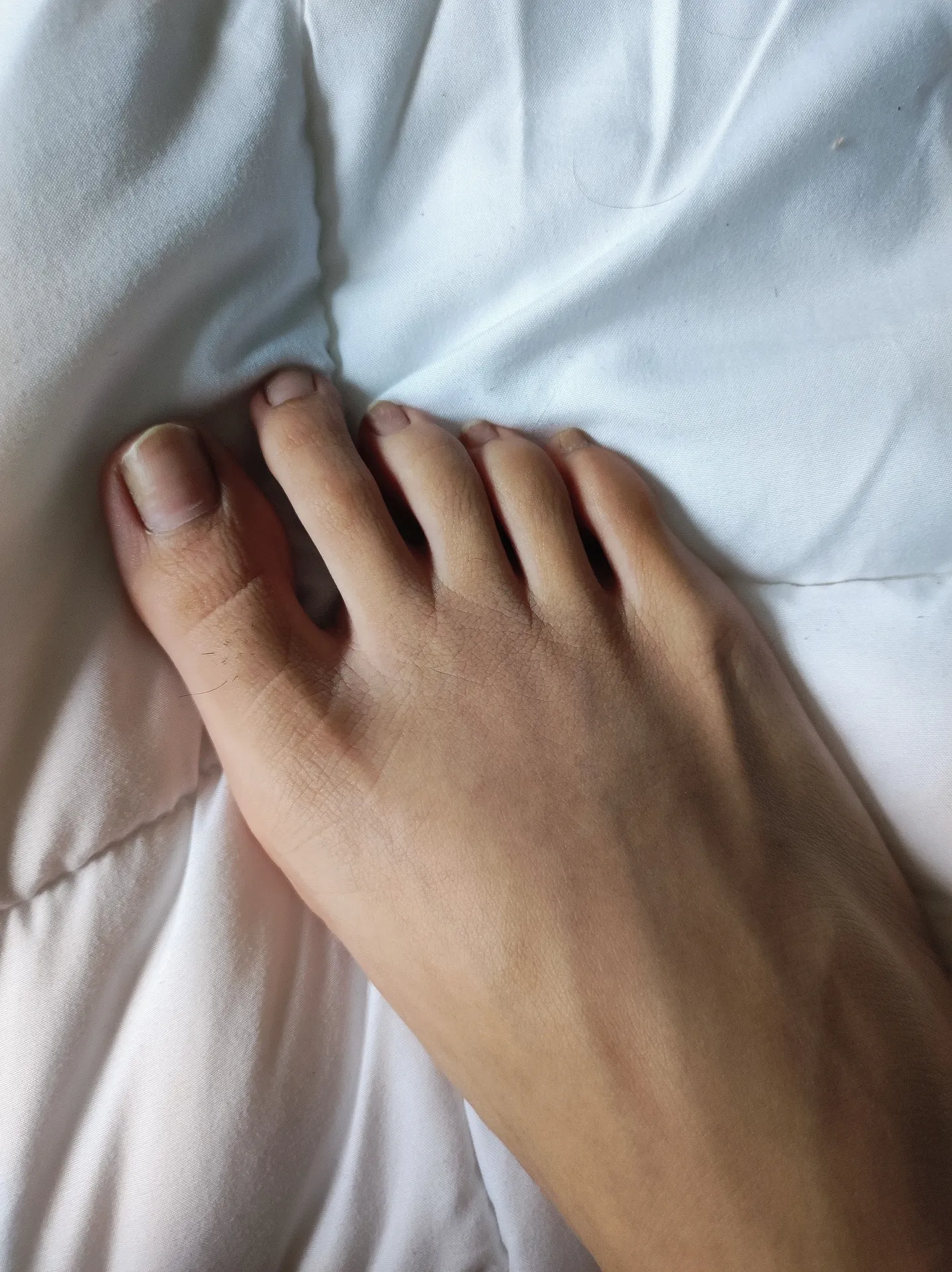 Violet Oli Green 🌿💗💜