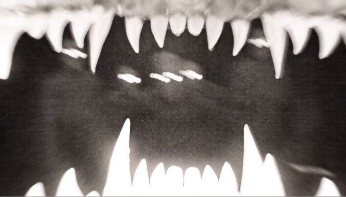 Violet🦇 OnlyFans header