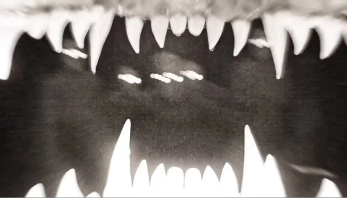 Violet🦇 OnlyFans header