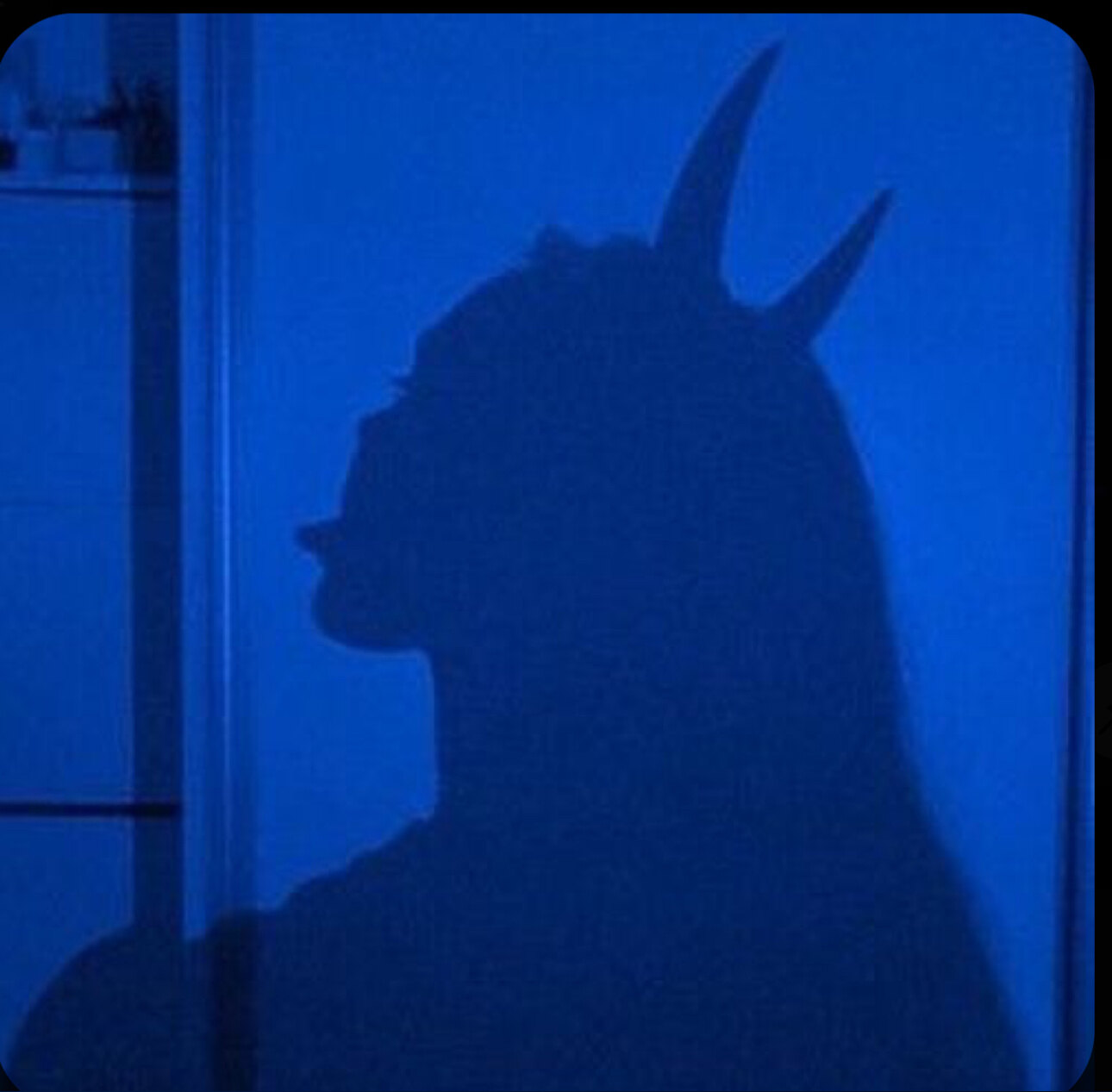 Violet Rose OnlyFans header