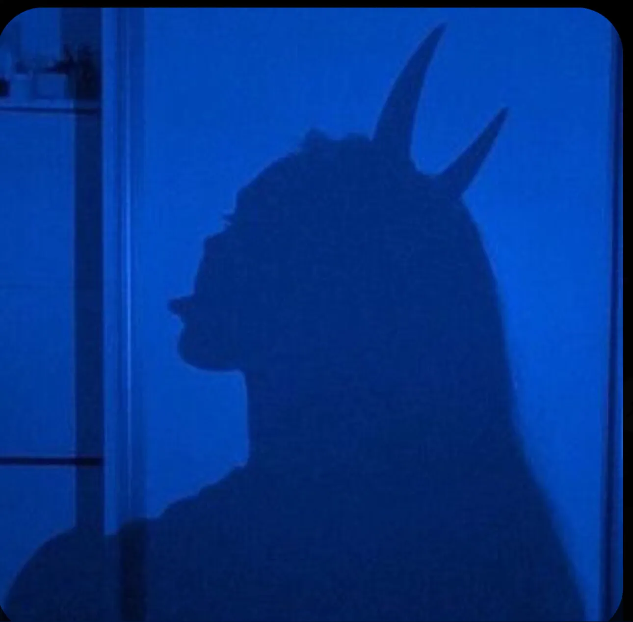 Violet Rose OnlyFans header