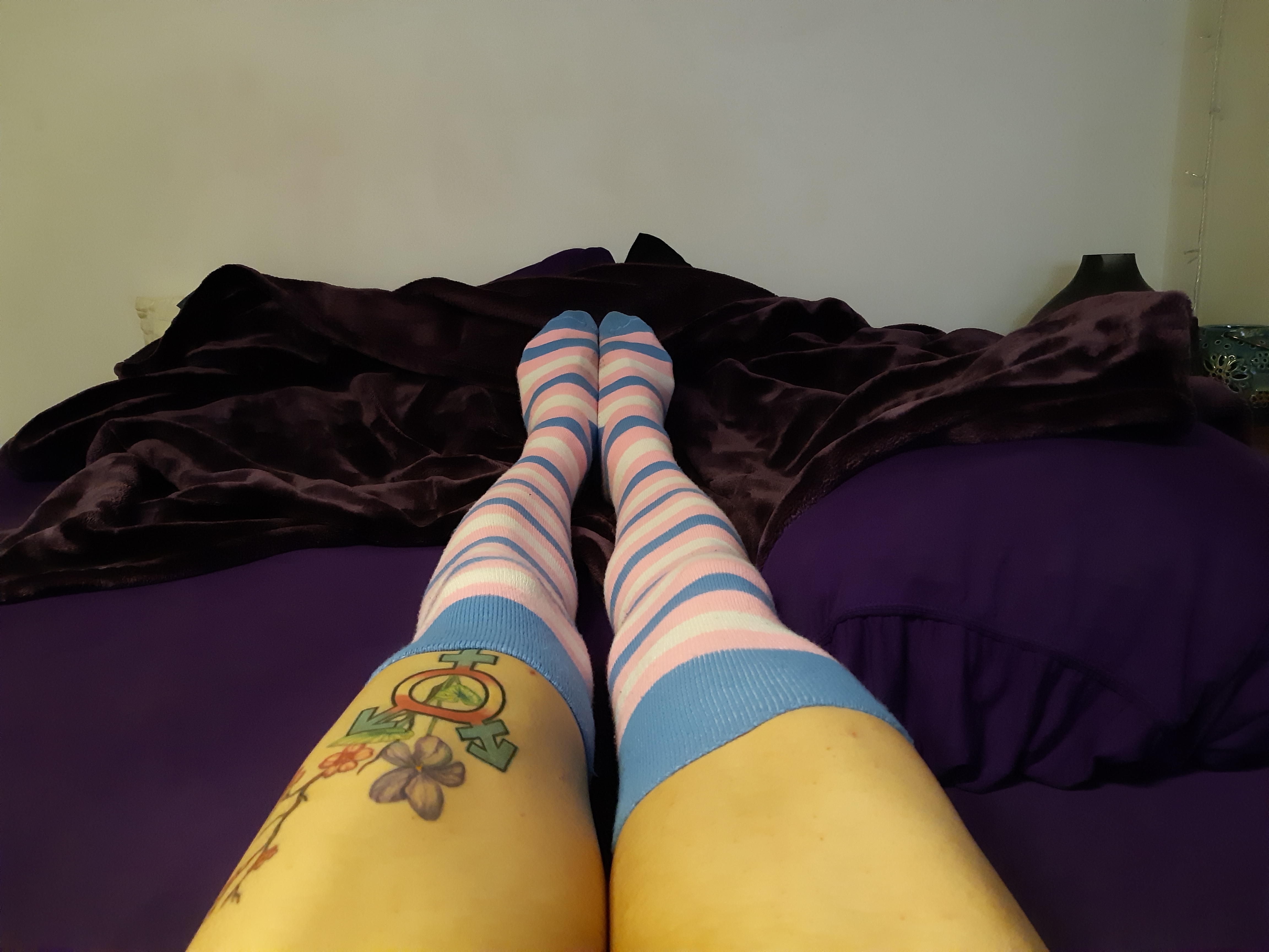 Violet💜Sakura OnlyFans header