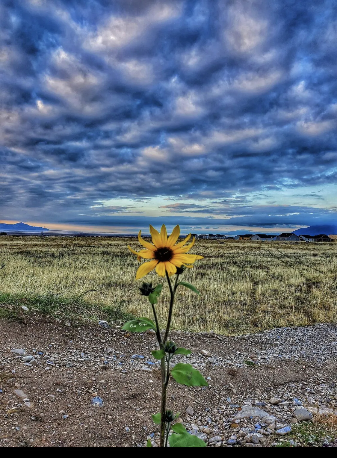 Violet Skyze OnlyFans header