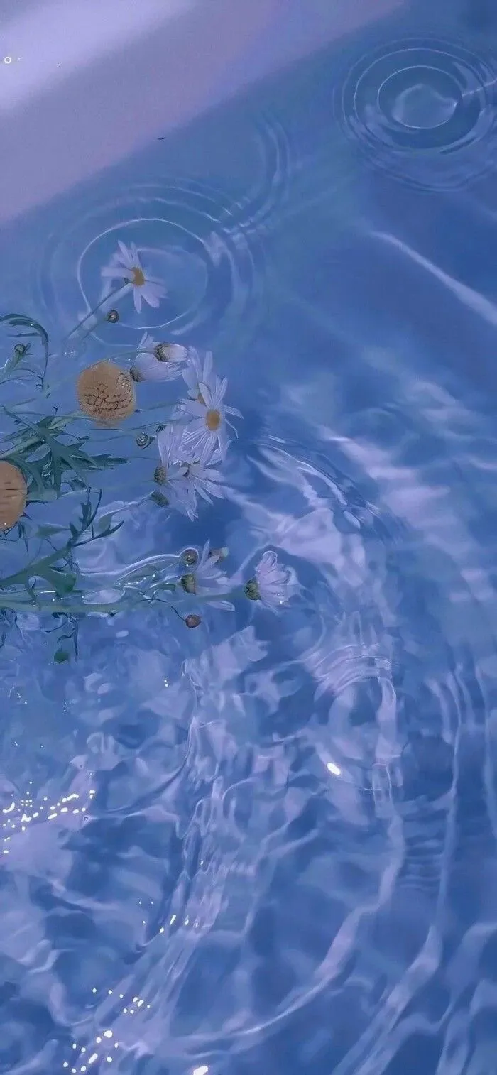 Violet Strawberry OnlyFans header