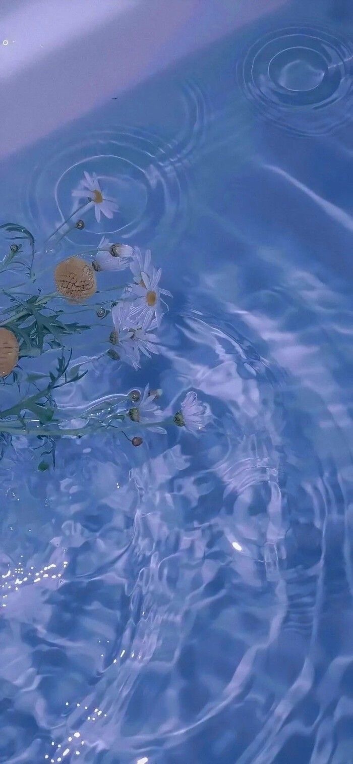 Violetstrawberry OnlyFans header