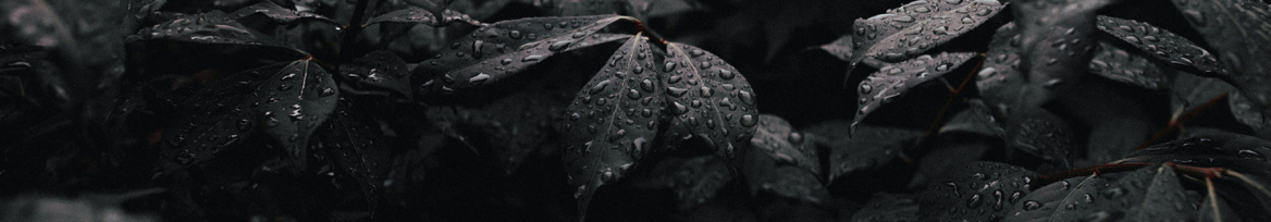 Violet 🩸 OnlyFans header