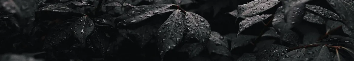 Violet 🩸 OnlyFans header