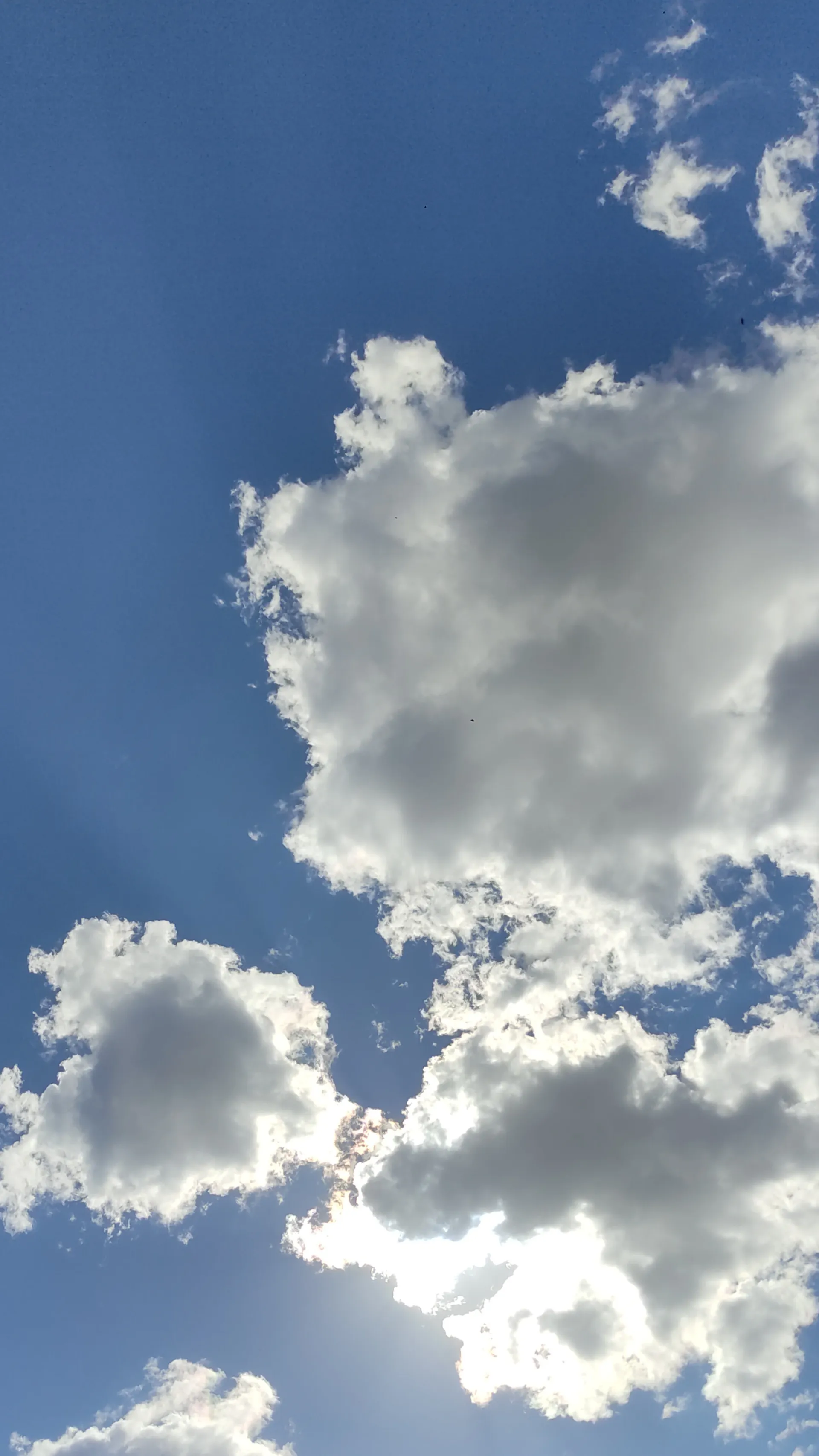 Bennu OnlyFans header