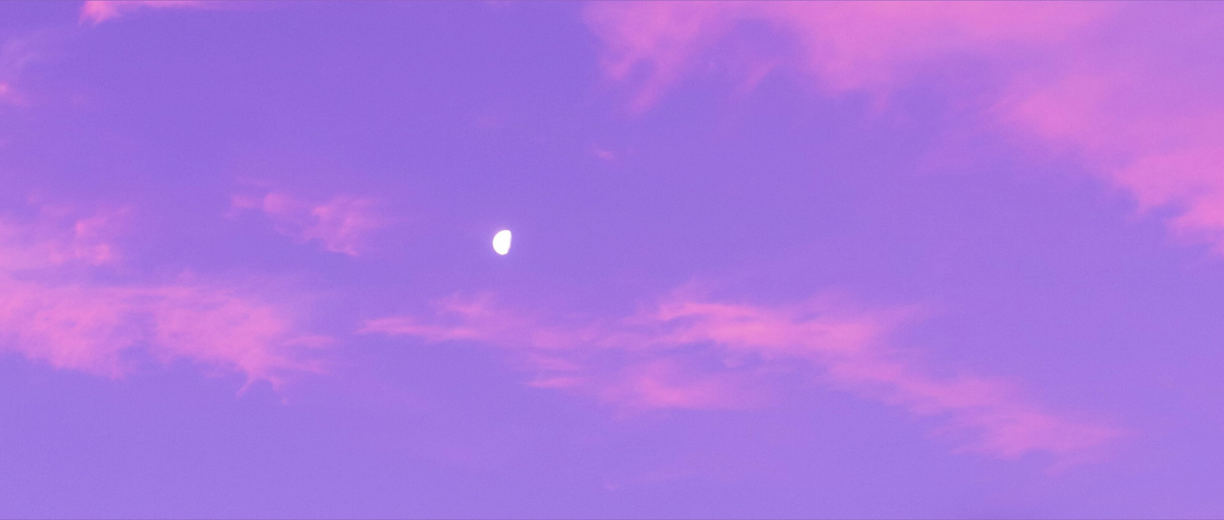 Violette OnlyFans header