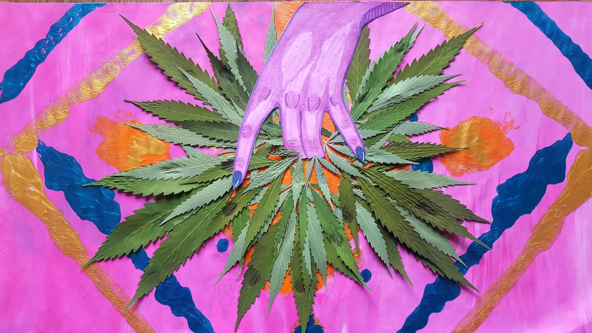 Violet OnlyFans header