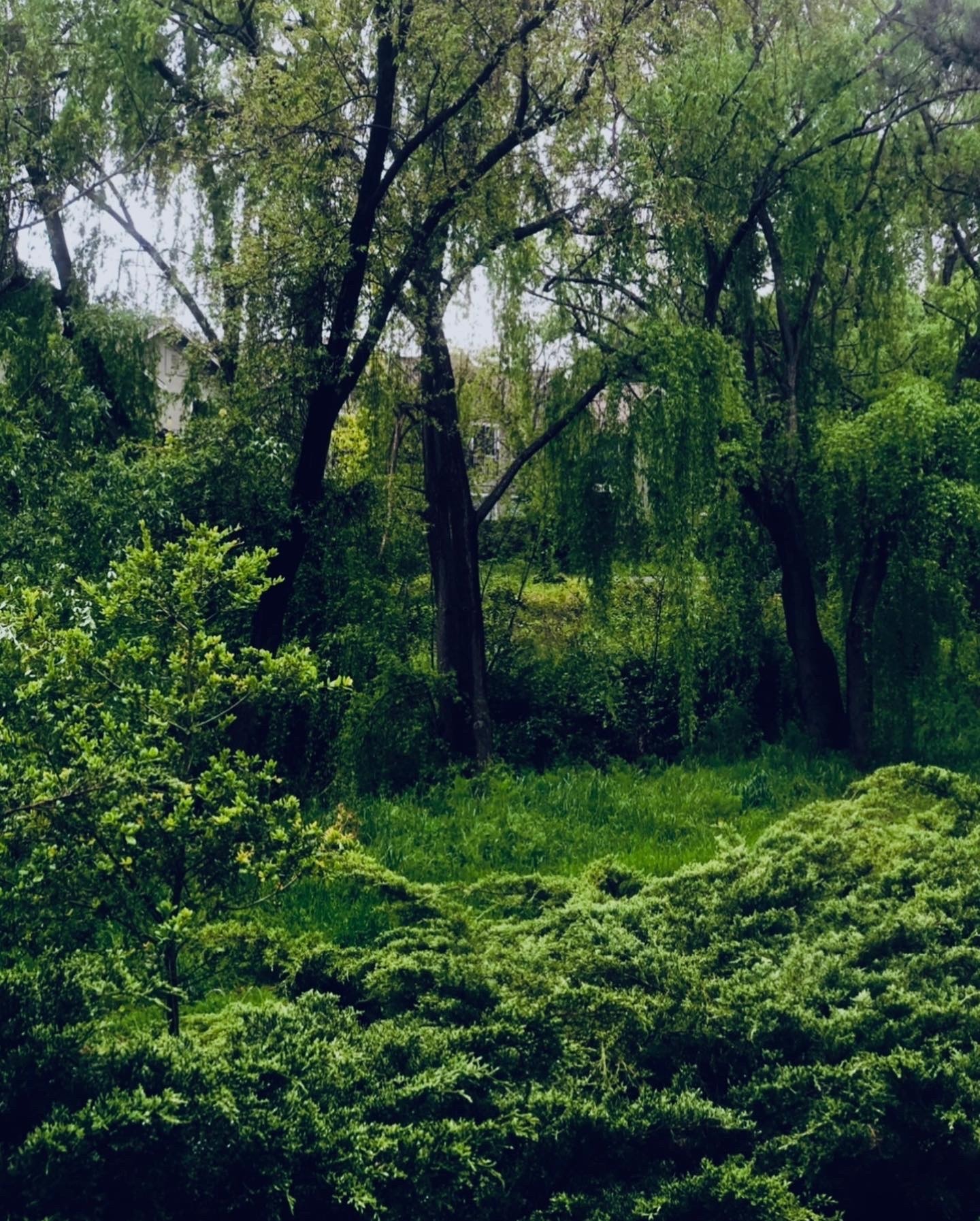 ✧ 𝔤𝔬𝔡𝔡𝔢𝔰𝔰 ✧ 𝒱𝒾𝑜𝓁𝑒𝓉 ✧ OnlyFans header