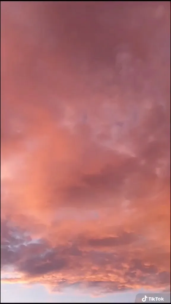 Bebe OnlyFans header