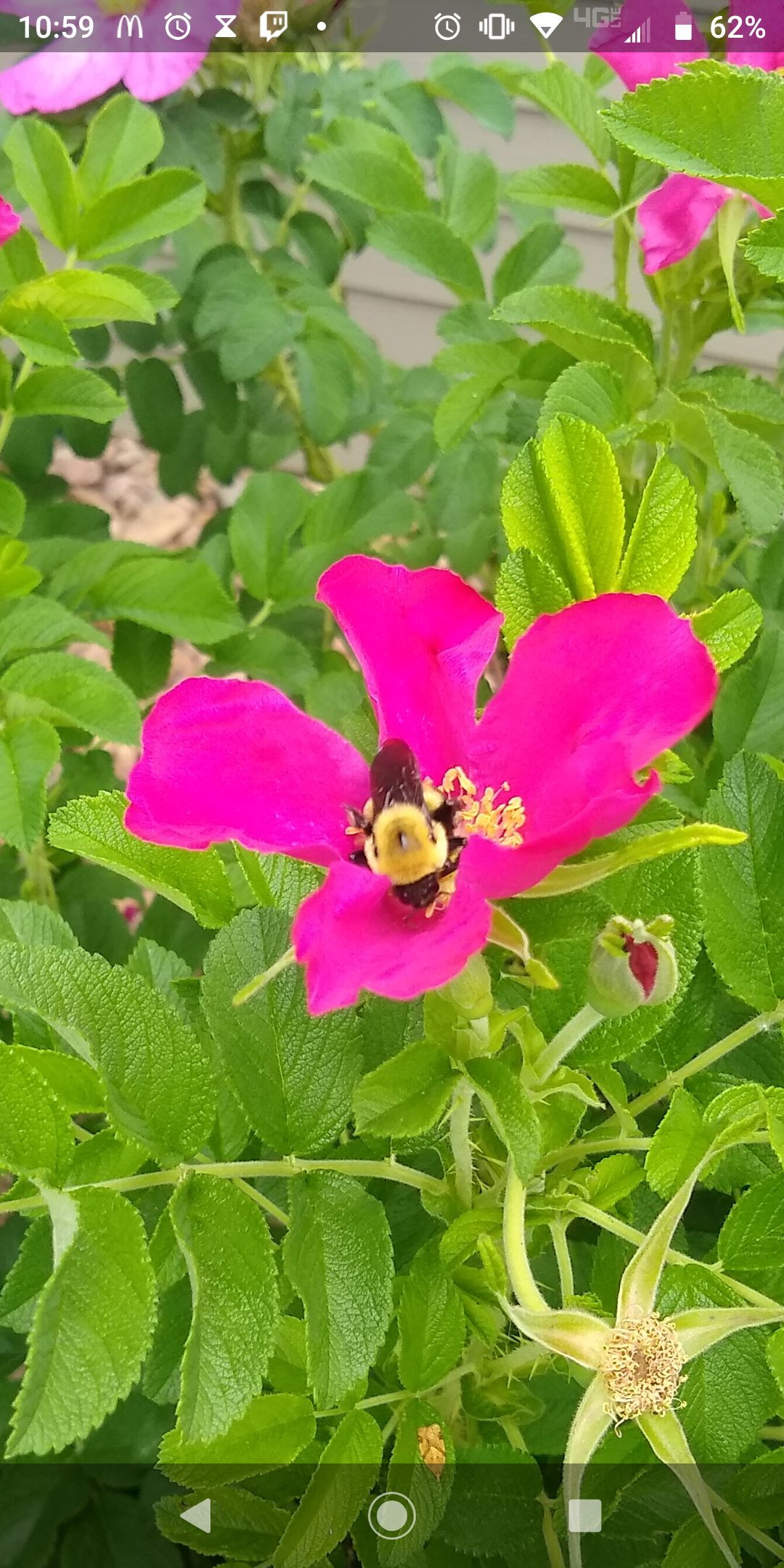 HoneyBun710 VIP OnlyFans header