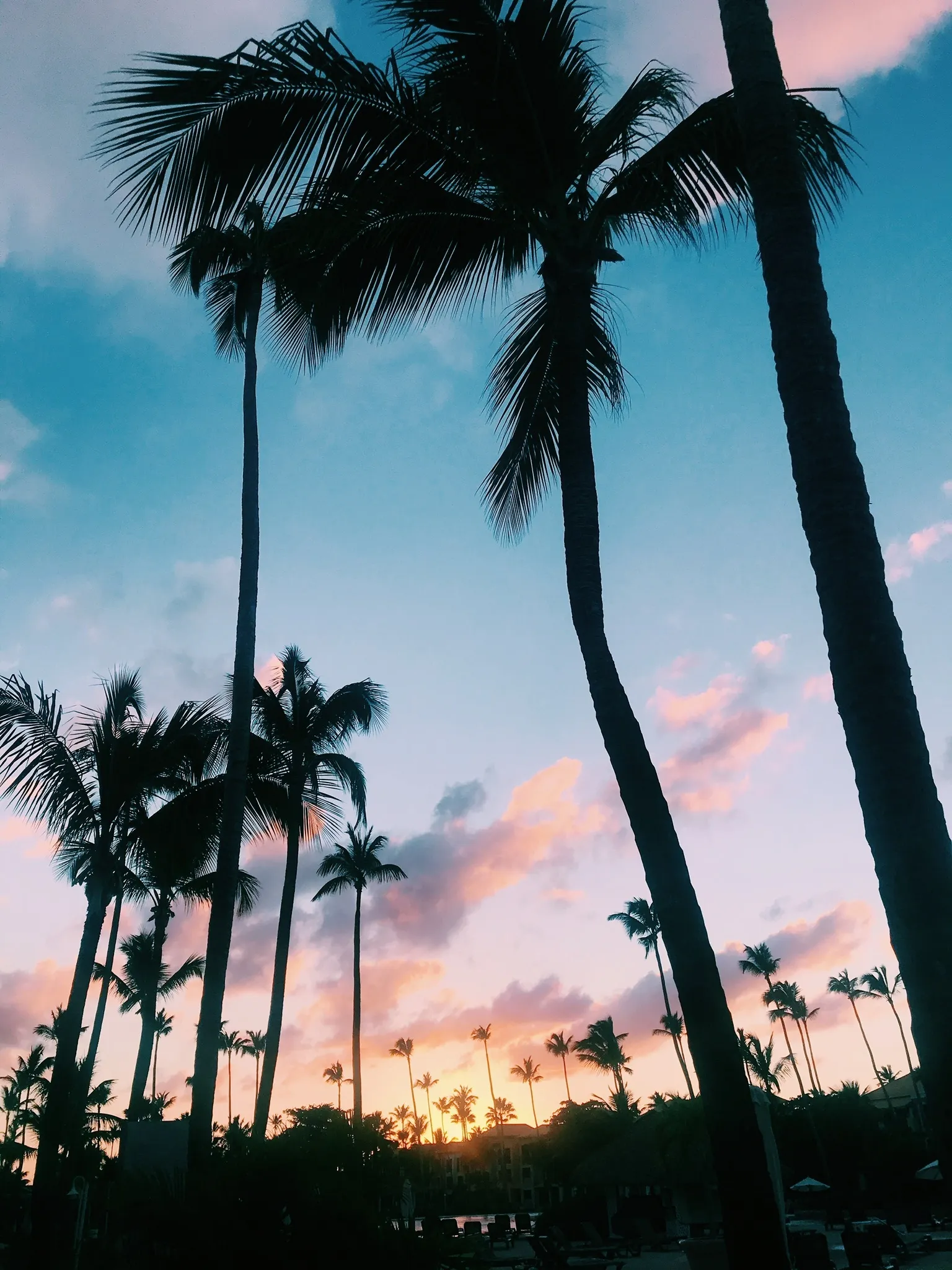 ✨🤍 OnlyFans header