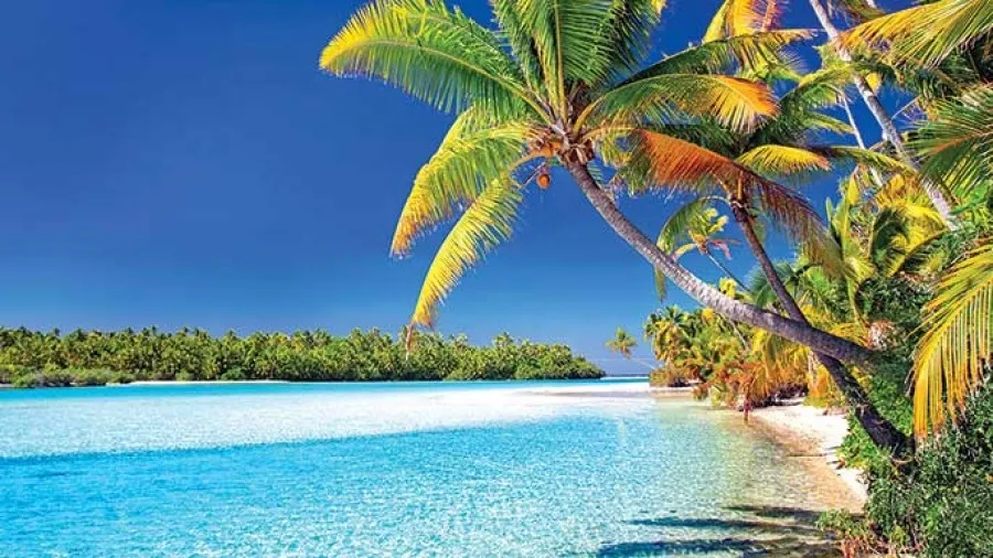 Riley Kai OnlyFans header