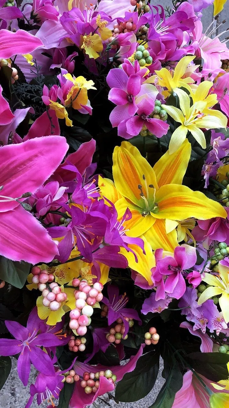 Virginia Slim OnlyFans header