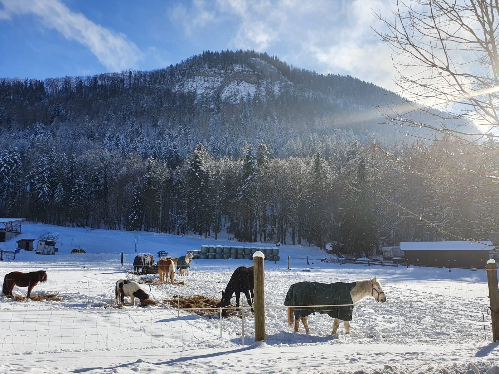 Virgin Mery OnlyFans header