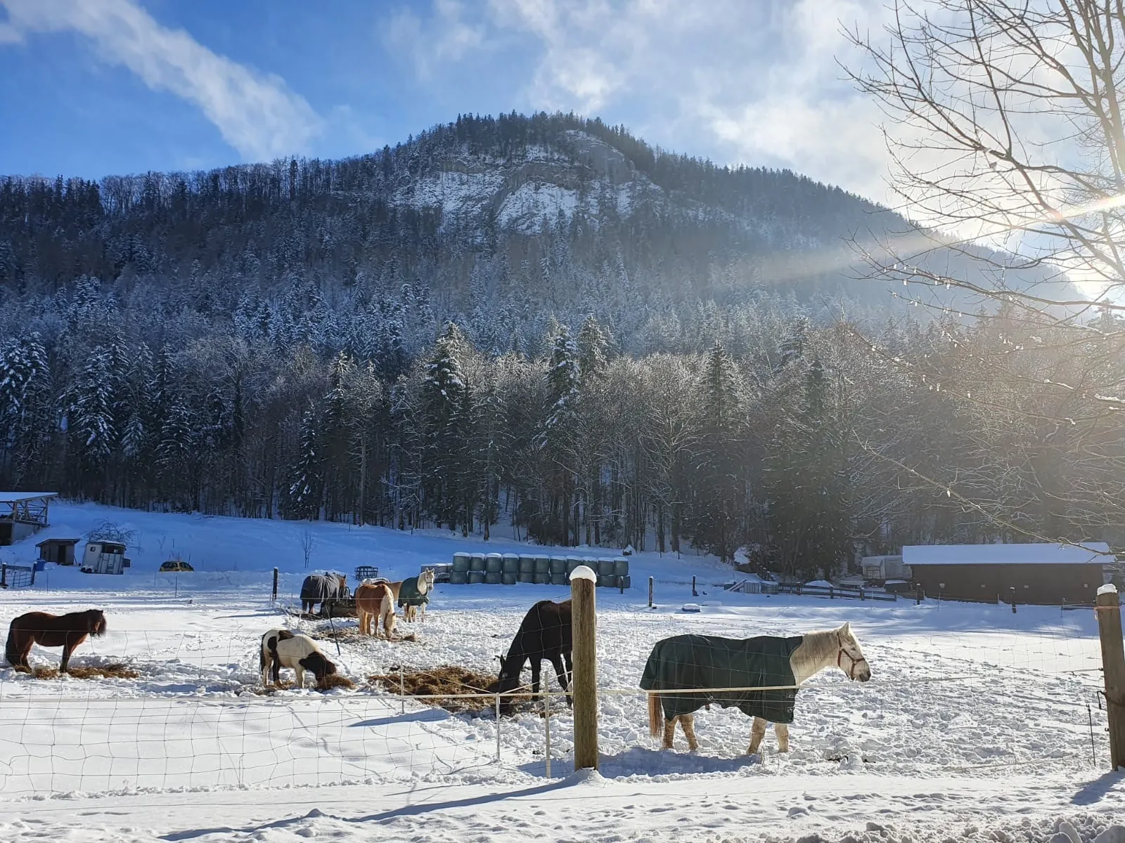 Virgin Mery OnlyFans header