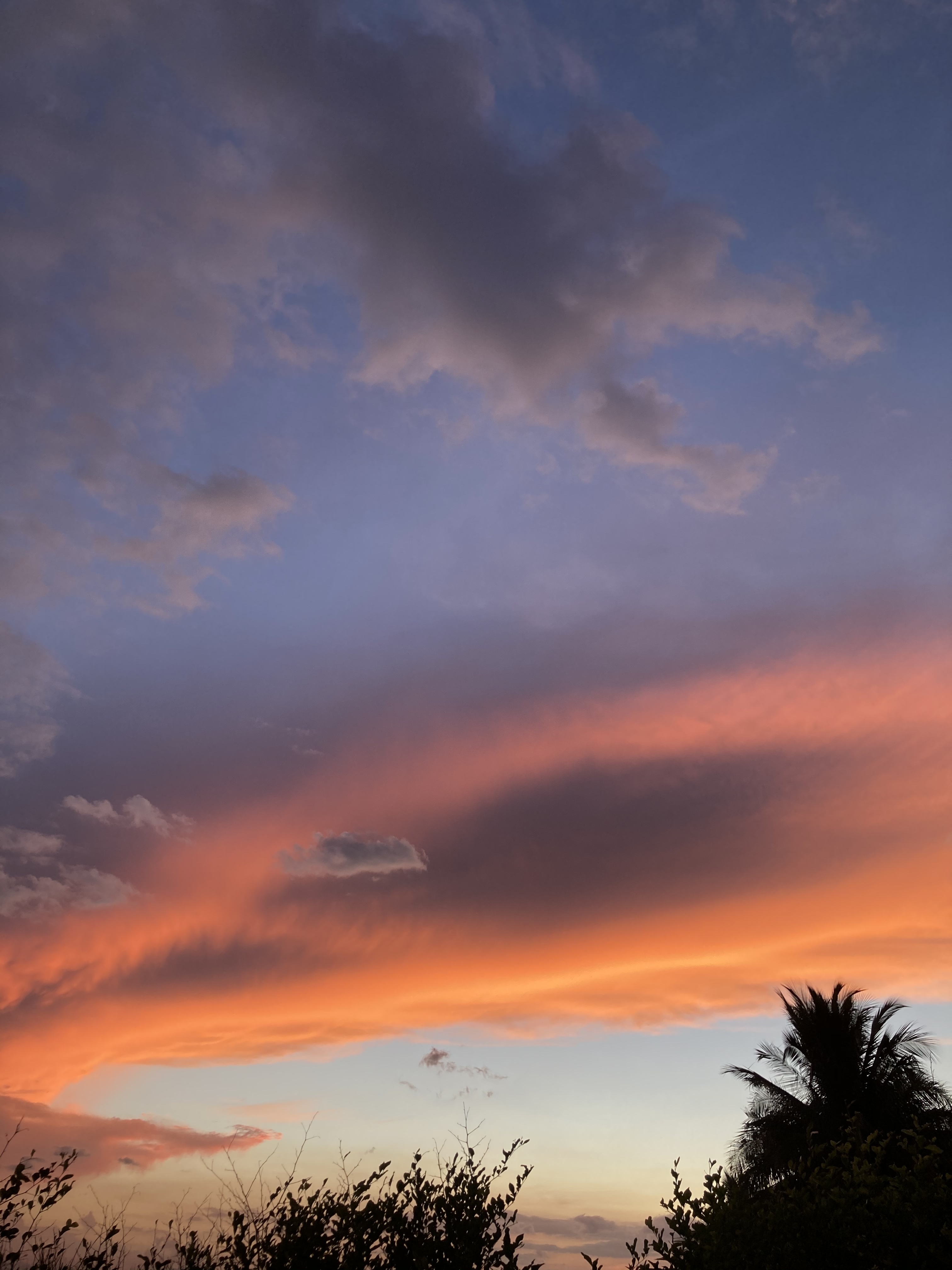 Virgo baby💚 OnlyFans header