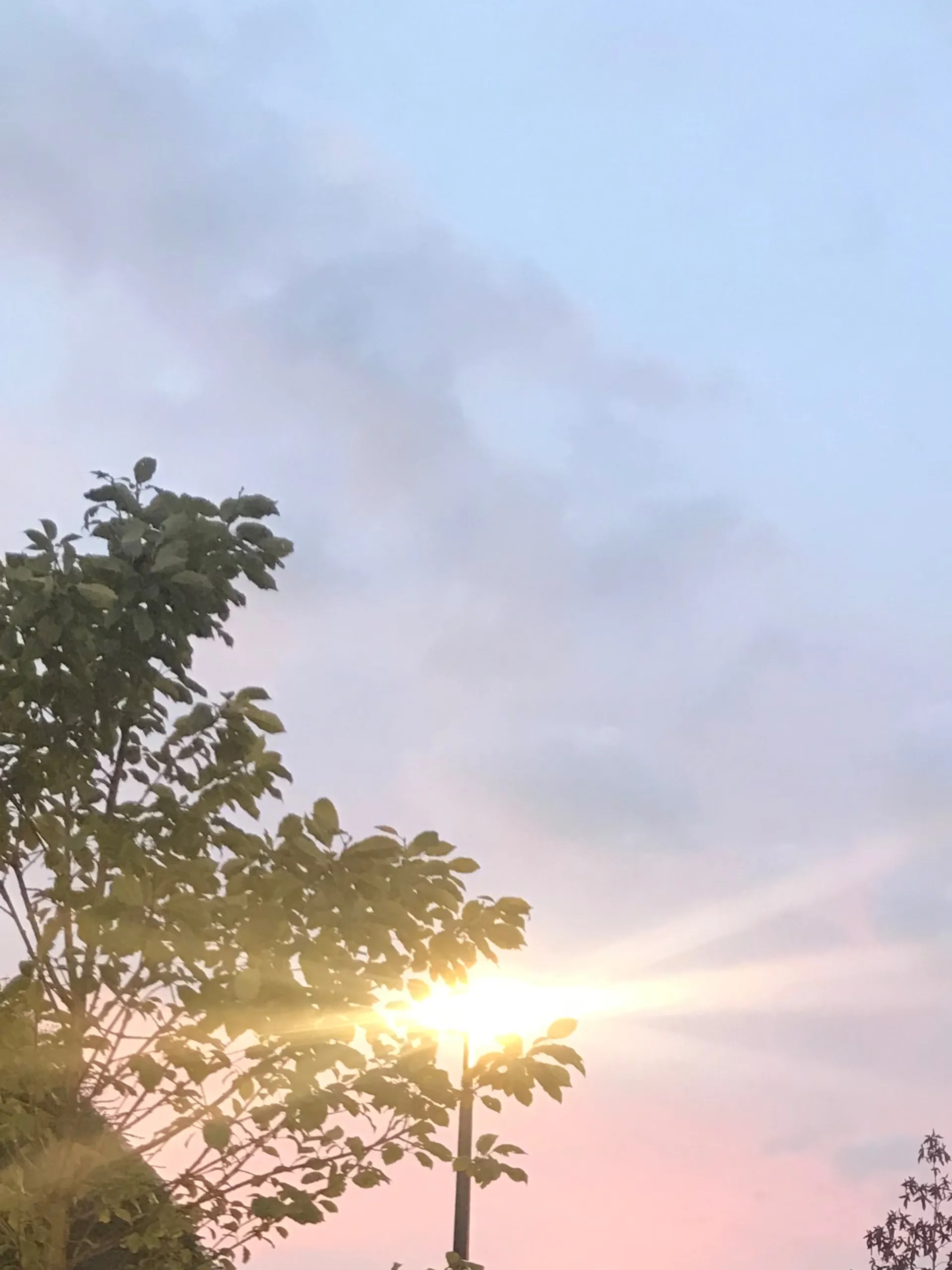 Virgo OnlyFans header