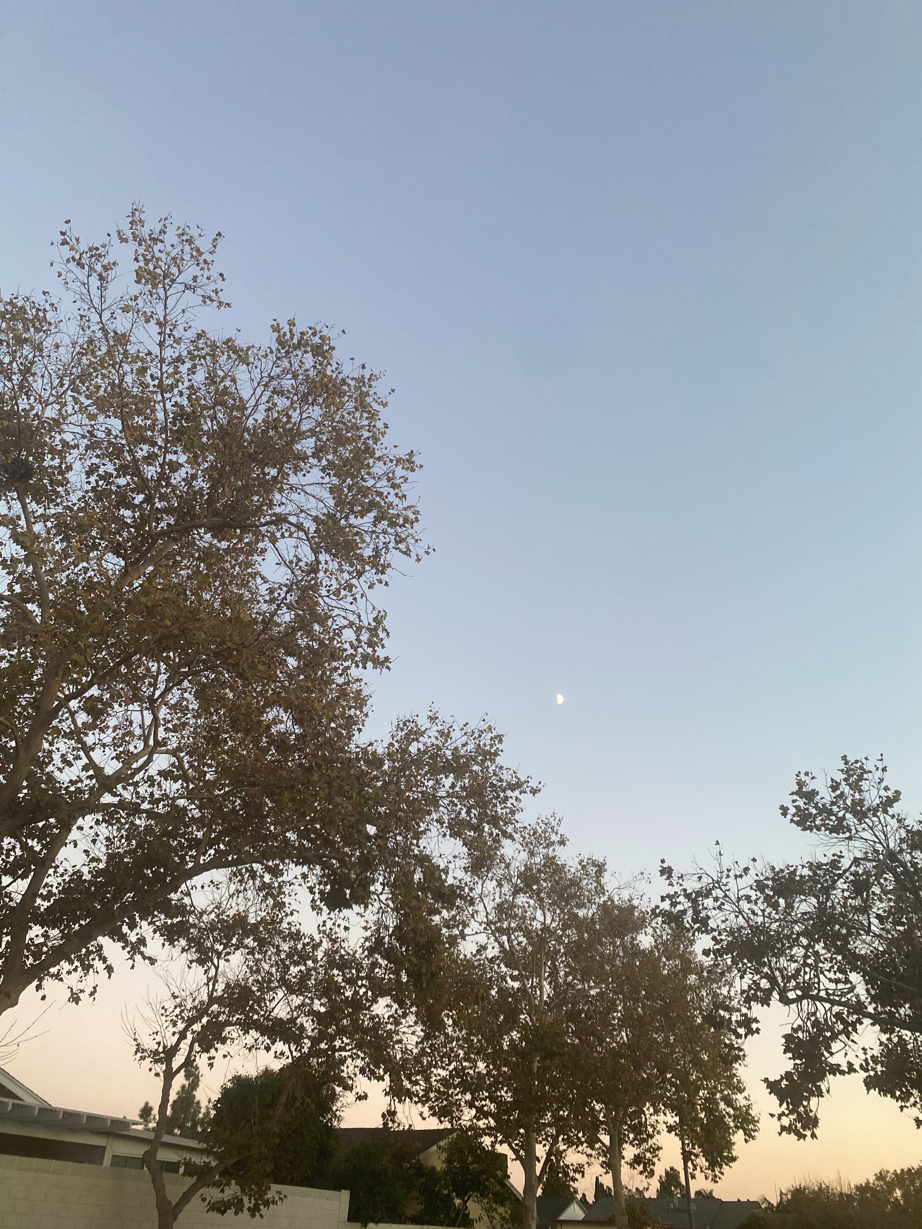 virgonasty OnlyFans header